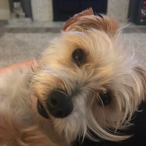 Meet your Posher, Tracy